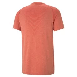 Puma Tech EvoKNIT T-Shirt Herren Orange 5 Puma Tech EvoKNIT T-Shirt Herren Orange -Sportbekleidung Geschäft 52011123 Ra02BohC8wzl4Q