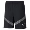 Puma TeamFINAL Herren Trainingsshorts Schwarz Grau