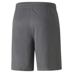Puma TeamFINAL Herren Trainingsshorts Grau Schwarz -Sportbekleidung Geschäft 657553 13 R