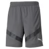 Puma TeamFINAL Herren Trainingsshorts Grau Schwarz
