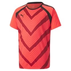Puma TeamLIGA Graphic Trikot Kinder Coral Rot