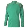 Puma TeamCUP Fußball Trainingsjacke Herren Grün