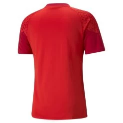 Puma TeamCUP Trainingstrikot Herren Rot -Sportbekleidung Geschäft 65798401 R