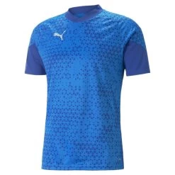 Puma TeamCUP Trainingstrikot Herren Blau