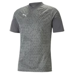 Puma TeamCUP Trainingstrikot Herren Grau