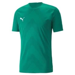 Puma TeamGLORY Herren Trikot Grün