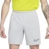 Nike Academy Dri-FIT Global Football Shorts Herren Hellgrau Volt -Sportbekleidung Geschäft DV9742 007 F