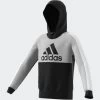 Adidas CB Fleece Hoodie Kinder Schwarz Grau -Sportbekleidung Geschäft adidas cb fleece hoodie kinder schwarz grau hc5658