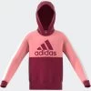 Adidas CB Fleece Hoodie Kinder Weinrot Pink -Sportbekleidung Geschäft adidas cb fleece hoodie kinder weinrot pink hc5660