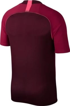 Nike F.C. Home Fußball Trikot Herren Weinrot -Sportbekleidung Geschäft nike f c home fubball trikot herren weinrot at6017 681EVM15kXyQ5SXh