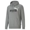 Puma Essentials+ 2 Col Big Logo Hoodie Herren Grau