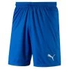 Puma Fußball Herren Liga Core Shorts Männer Kurze Hose Blau Weiß