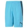 Puma Fußball TeamLIGA Shorts Herren Blau Schwarz