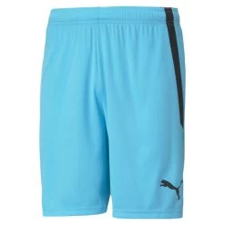 Puma Fußball TeamLIGA Shorts Herren Blau Schwarz
