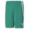 Puma Fußball TeamLIGA Shorts Herren Grün Weiß