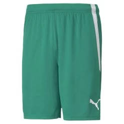 Puma Fußball TeamLIGA Shorts Herren Grün Weiß