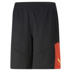 Puma IndividualFINAL Fußball Trainingshorts Herren Schwarz