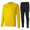 Puma TeamGOAL 23 Trainingsanzug Herren Gelb Schwarz