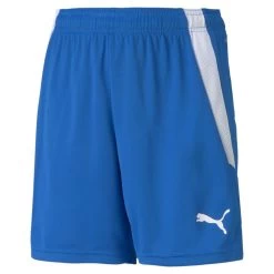 Puma TeamLIGA Shorts Kinder Blau Weiß