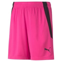 Puma TeamLIGA Shorts Kinder Pink Schwarz