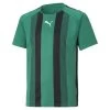 Puma TeamLIGA Striped Trikot Kinder Grün Schwarz