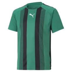 Puma TeamLIGA Striped Trikot Kinder Grün Schwarz