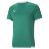 Puma TeamLIGA Trikot Kinder Grün Weiß