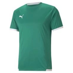 Puma TeamLIGA Trikot Kinder Grün Weiß