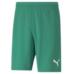 Puma TeamRISE Shorts Kinder Grün Weiß