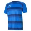 Puma TeamVISION Trikot Herren Blau Dunkelblau
