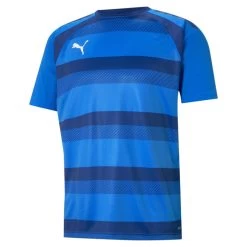 Puma TeamVISION Trikot Herren Blau Dunkelblau