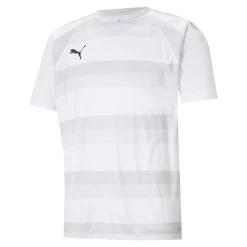 Puma TeamVISION Trikot Herren Weiß Grau