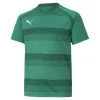 Puma TeamVISION Trikot Kinder Grün Dunkelgrün