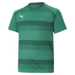 Puma TeamVISION Trikot Kinder Grün Dunkelgrün